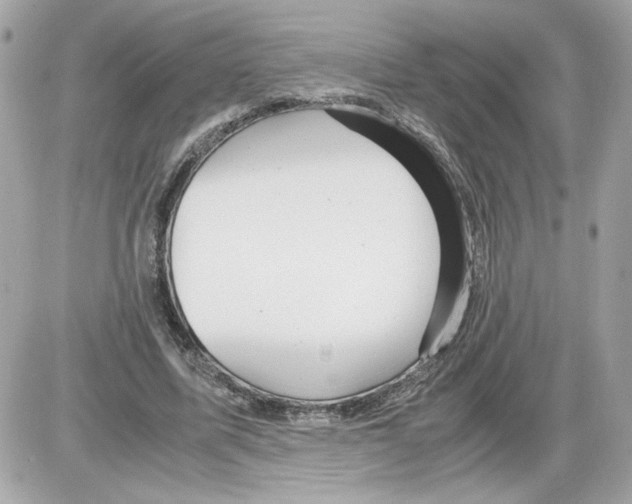 X0000085210587200704091908