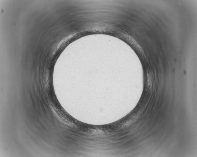 X0000085210588200704091908