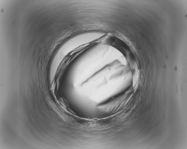 X0000085210589200704091908