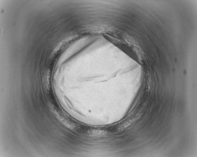 X0000085210590200704091908