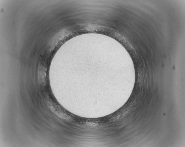 X0000085210592200704091908