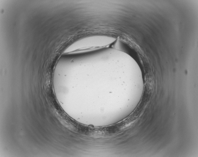 X0000085210593200704091908