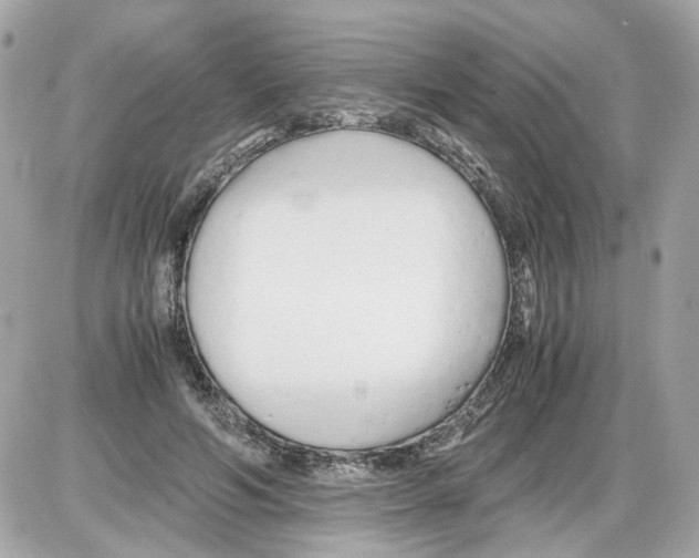 X0000085210594200704091908