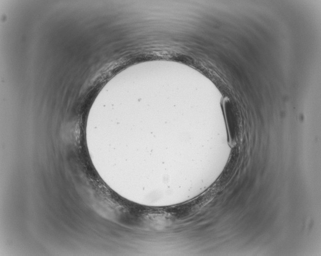 X0000085210595200704091908