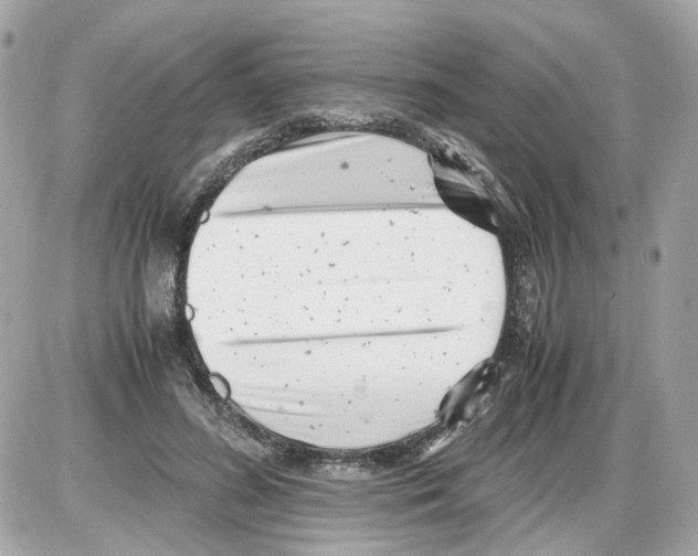 X0000085210596200704091908