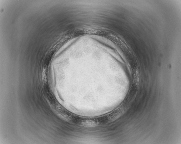 X0000085210598200704091908