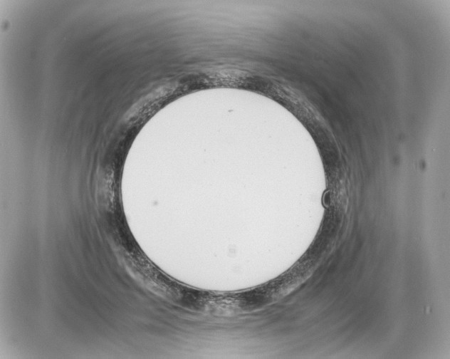 X0000085210599200704091908