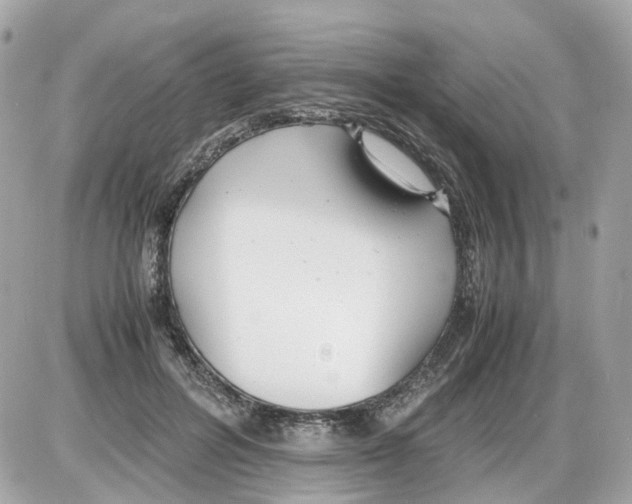 X0000085210600200704091908