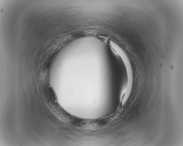 X0000085210601200704091908