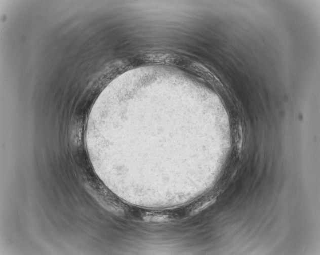 X0000085210602200704091908