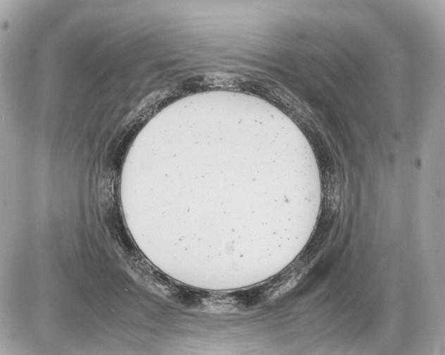 X0000085210603200704091908