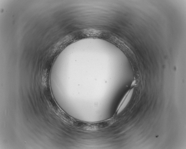 X0000085210604200704091908