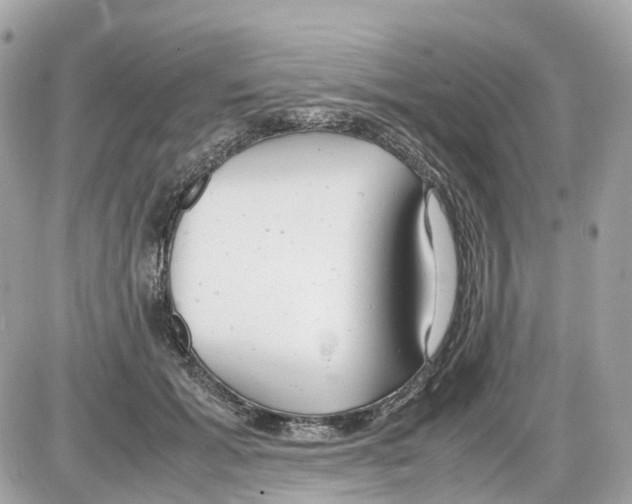 X0000085210605200704091908