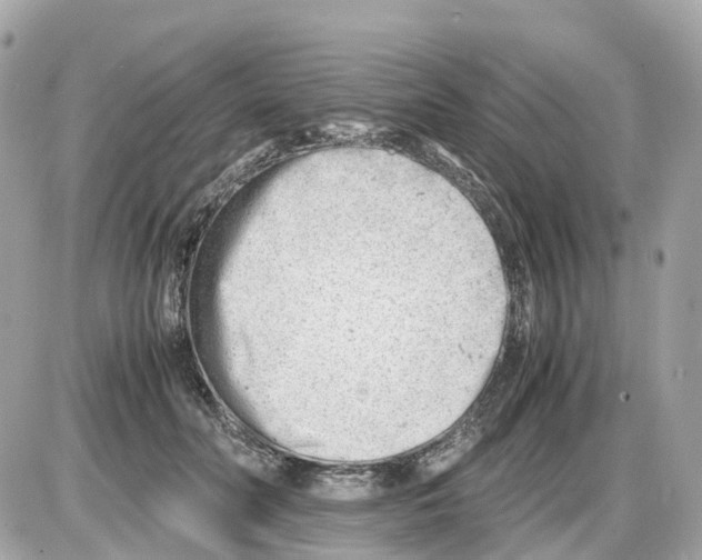 X0000085210606200704091908