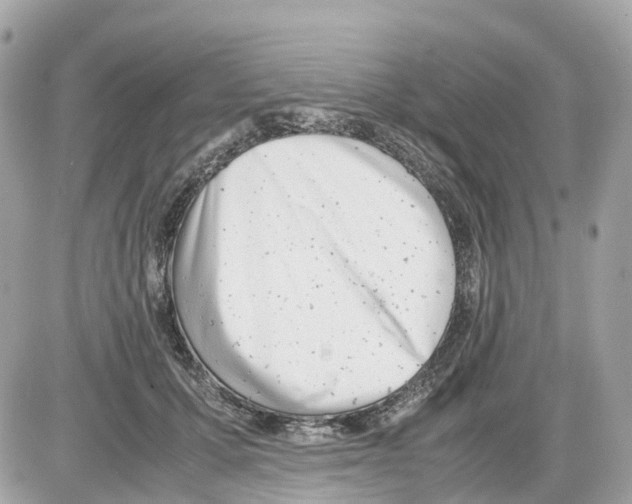 X0000085210607200704091908