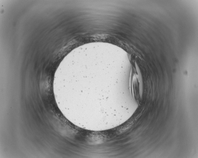 X0000085210608200704091908