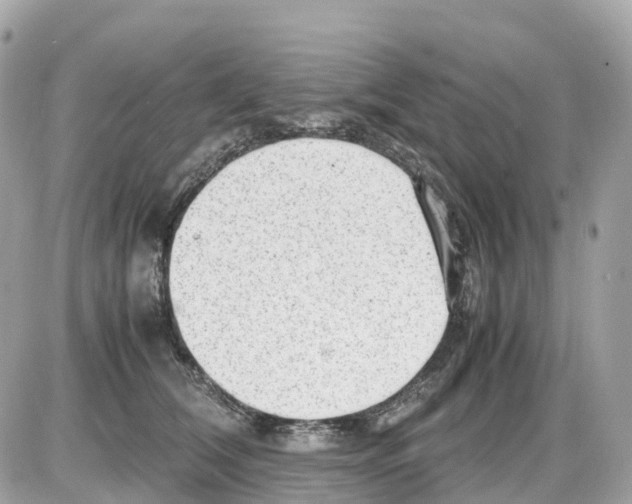 X0000085210612200704091908