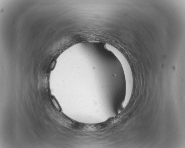 X0000085210613200704091908