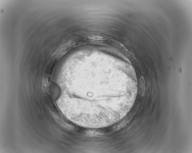 X0000085210614200704091908