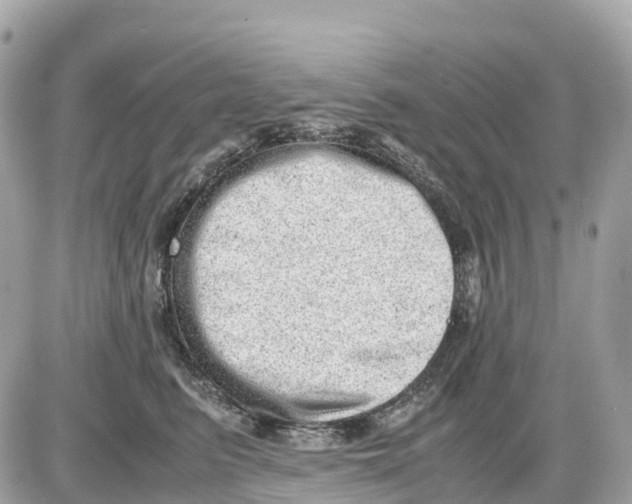 X0000085210615200704091908