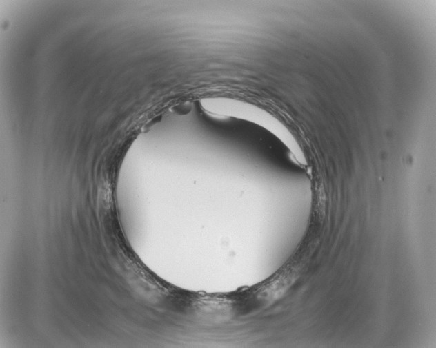 X0000085210617200704091908