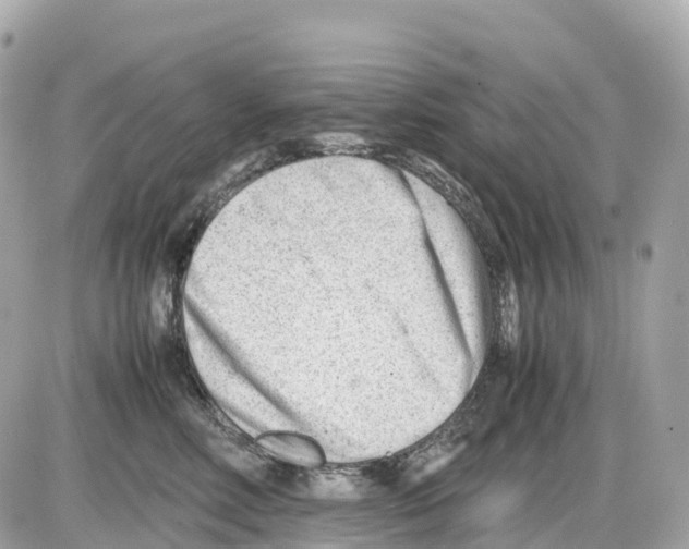 X0000085210618200704091908