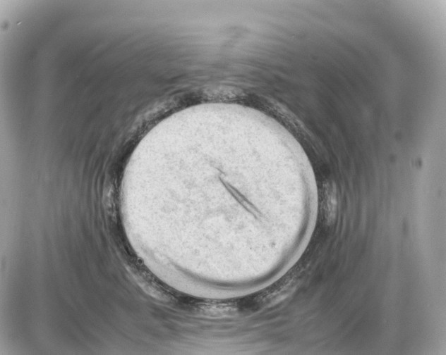 X0000085210619200704091908