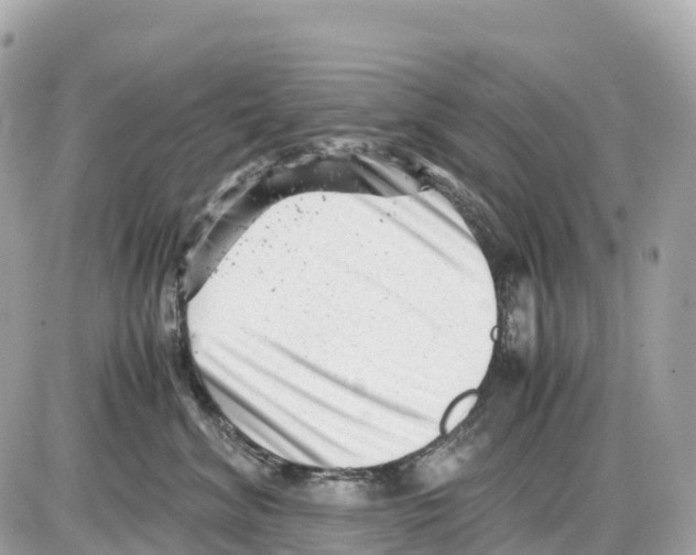 X0000085210620200704091908