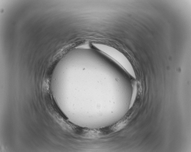 X0000085210621200704091908