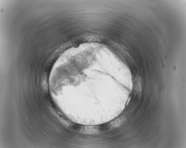 X0000085210622200704091908