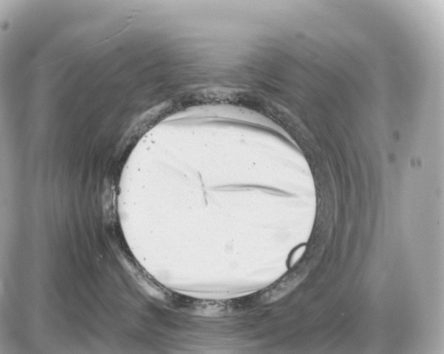 X0000085210624200704091908