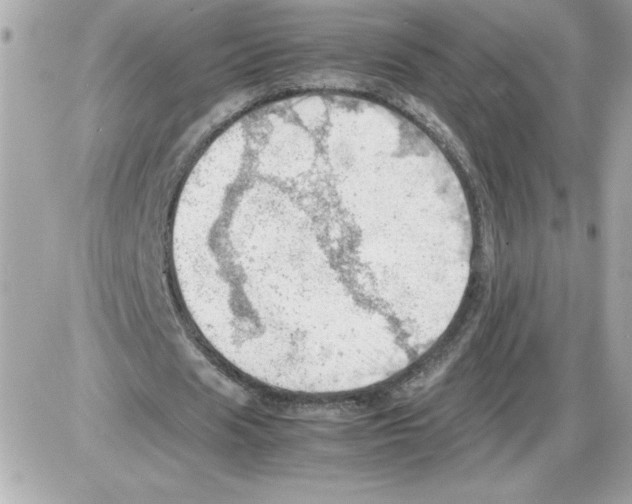 X0000085210625200704091907