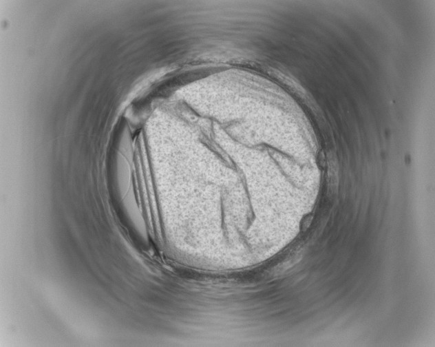 X0000085210626200704091907