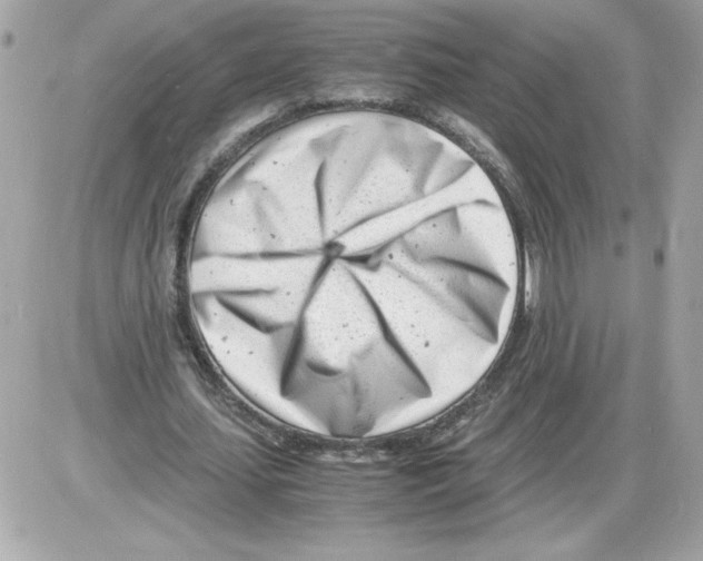 X0000085210627200704091907