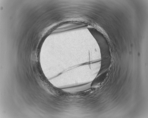 X0000085210628200704091907