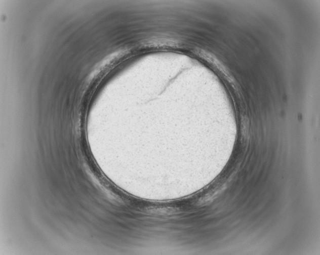 X0000085210629200704091907