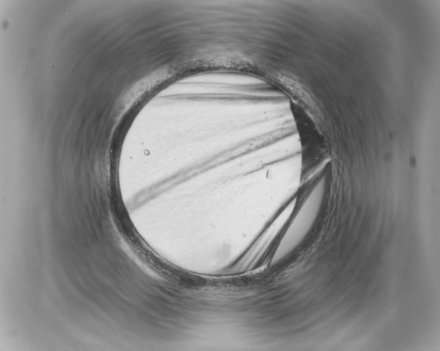 X0000085210630200704091907