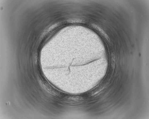 X0000085210631200704091907