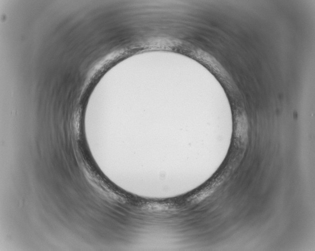 X0000085210632200704091907