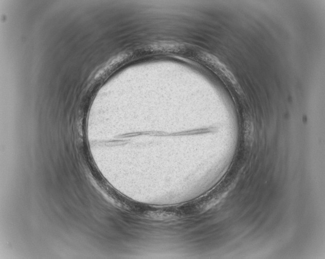 X0000085210633200704091907