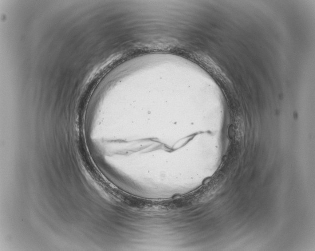 X0000085210634200704091907