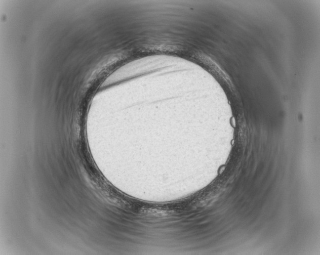 X0000085210635200704091907