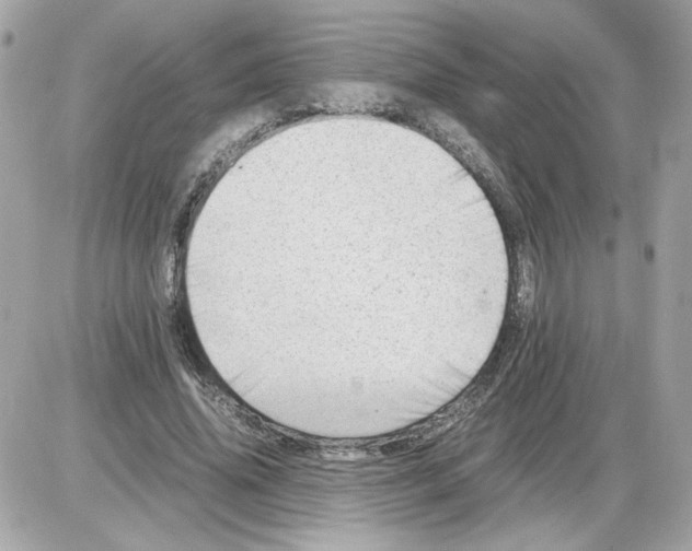 X0000085210636200704091907