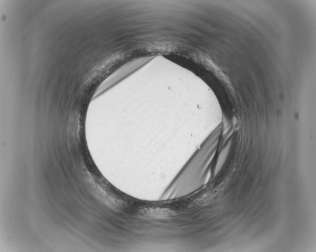 X0000085210637200704091907