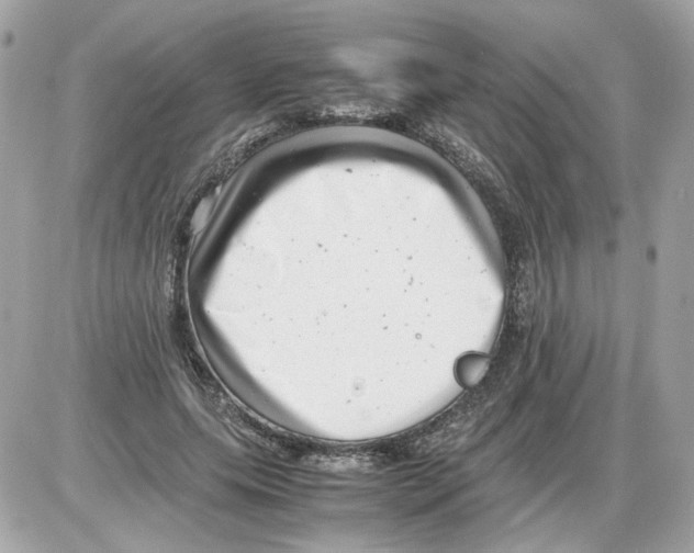 X0000085210639200704091907