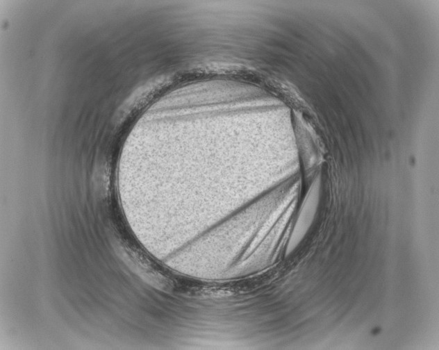 X0000085210640200704091907