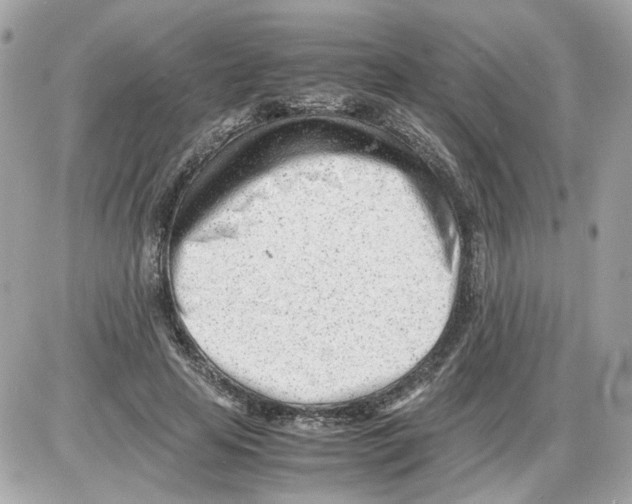 X0000085210641200704091907