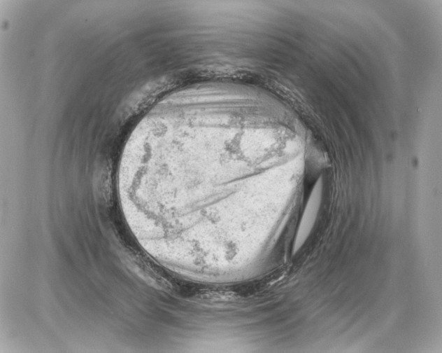 X0000085210642200704091907