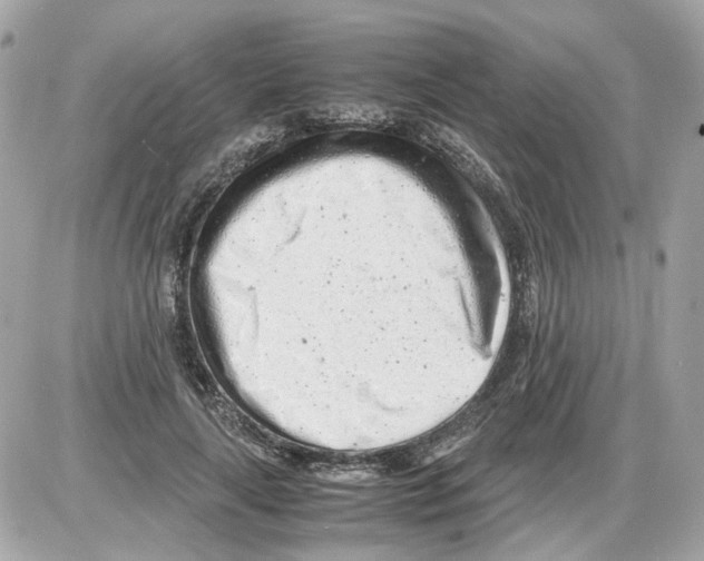 X0000085210643200704091907