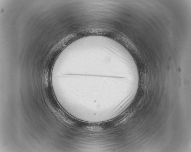 X0000085210644200704091907